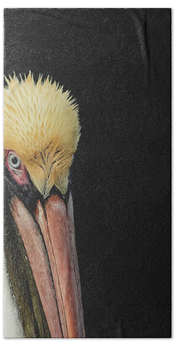 Brown Pelican Hand Towel featuring the photograph Brown Pelican Portrait by CR Courson