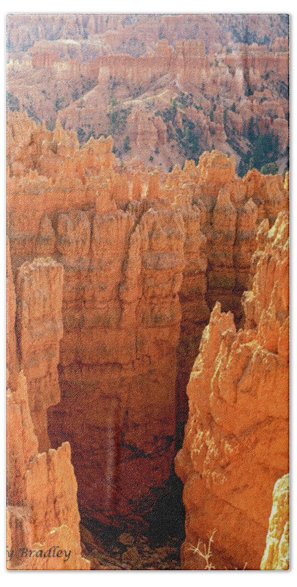 Usa Hand Towel featuring the photograph Bryce Canyon by Randy Bradley
