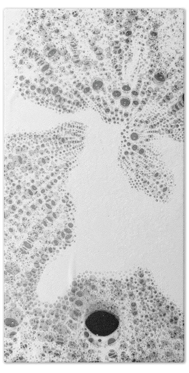 Bubble Bath Towel featuring the photograph Bubbles 3 by Kathy Paynter