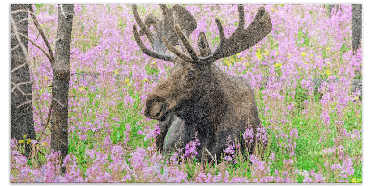 Moose Bath Towel featuring the photograph Bull Moose Among the Wildflowers by Tony Hake