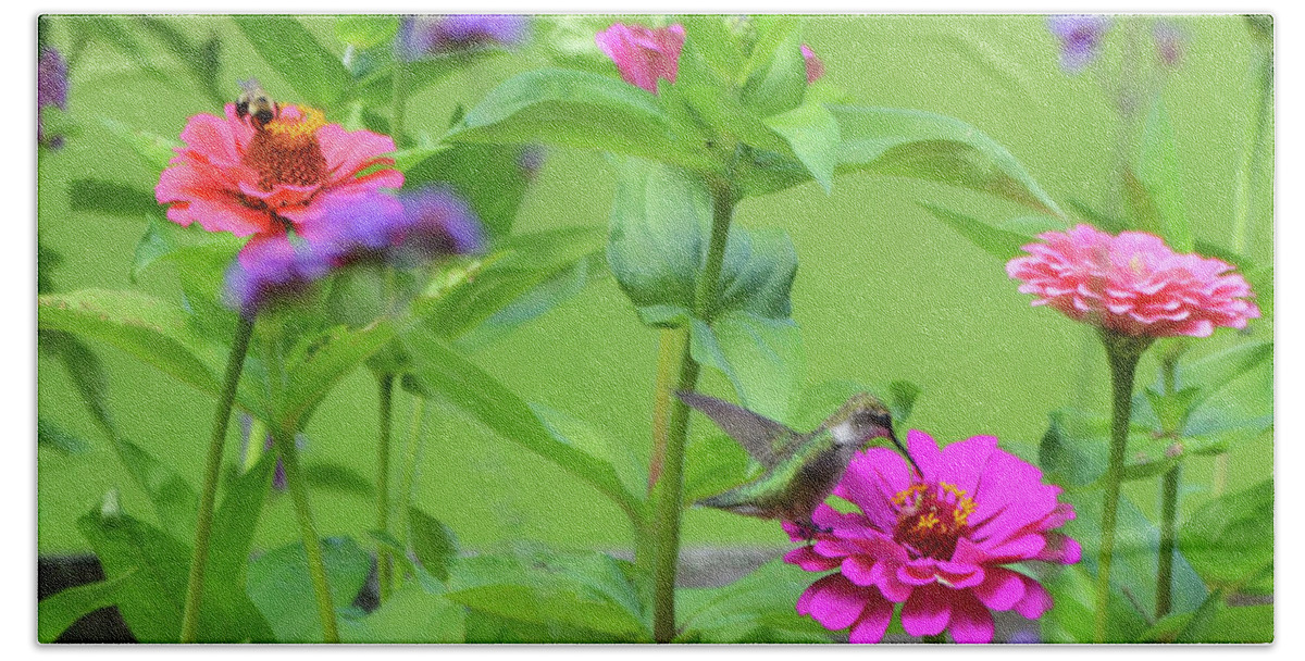 Bee Bath Towel featuring the photograph Bumble Bee and Humming Bird in the Garden by Rodney Campbell
