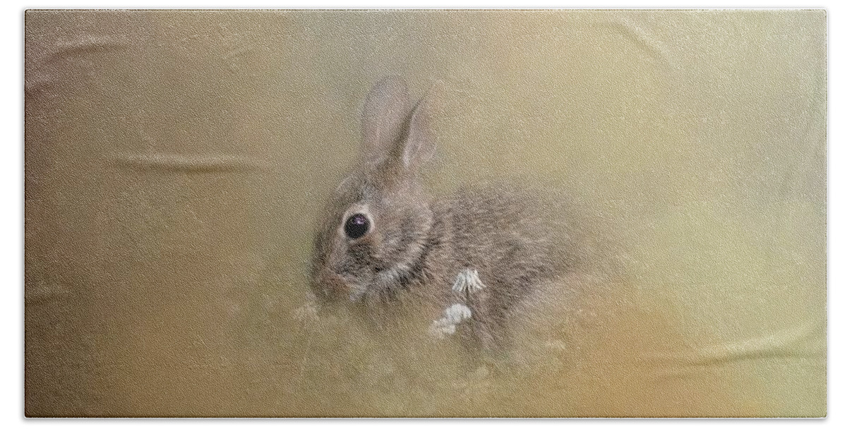 Bunny Hand Towel featuring the photograph Bunny Eating Clover by Marjorie Whitley