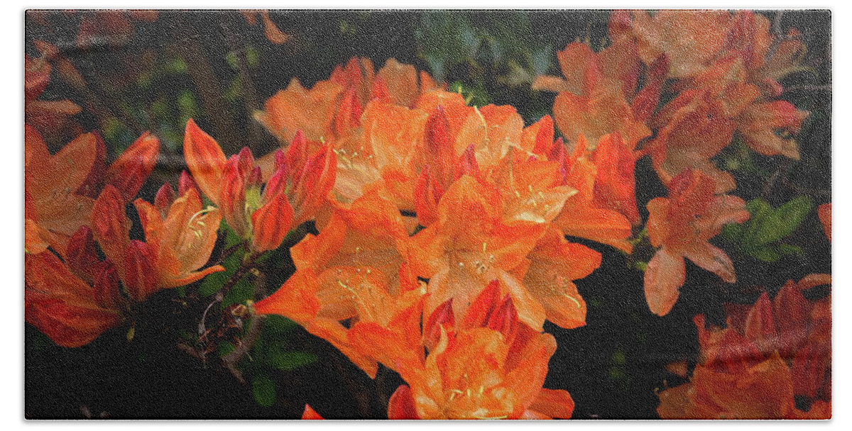 Alex Lyubar Bath Towel featuring the photograph Bush With Blooming Orange Peonies by Alex Lyubar