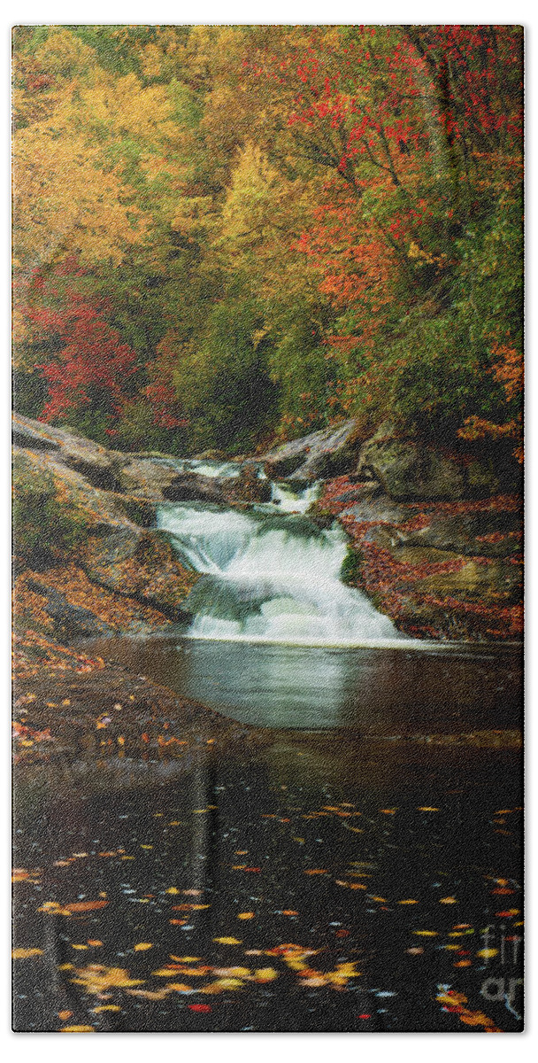 Autumn Bath Towel featuring the photograph Bust Your Butt Falls N Carolina by Ron Long Ltd Photography
