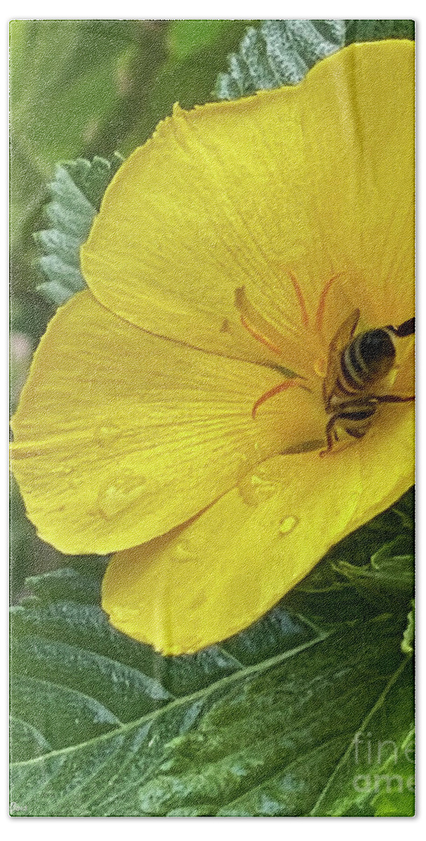 Yellow Alder Hand Towel featuring the photograph BusyBee by Megan Dirsa-DuBois