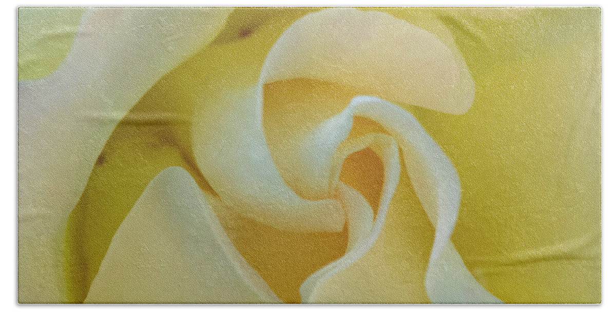 Rose Bath Towel featuring the photograph Butter Cream by Cathy Kovarik