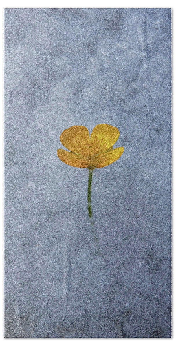 Buttercup Bath Towel featuring the photograph Buttercup by Ryan Workman Photography