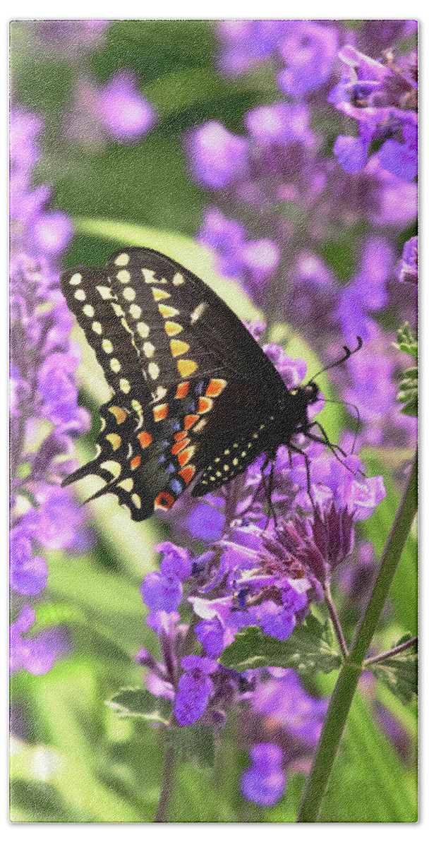 Butterfly Bath Towel featuring the photograph Butterfly - American Swallowtail on Kit Cat Flowers by Mike Savad