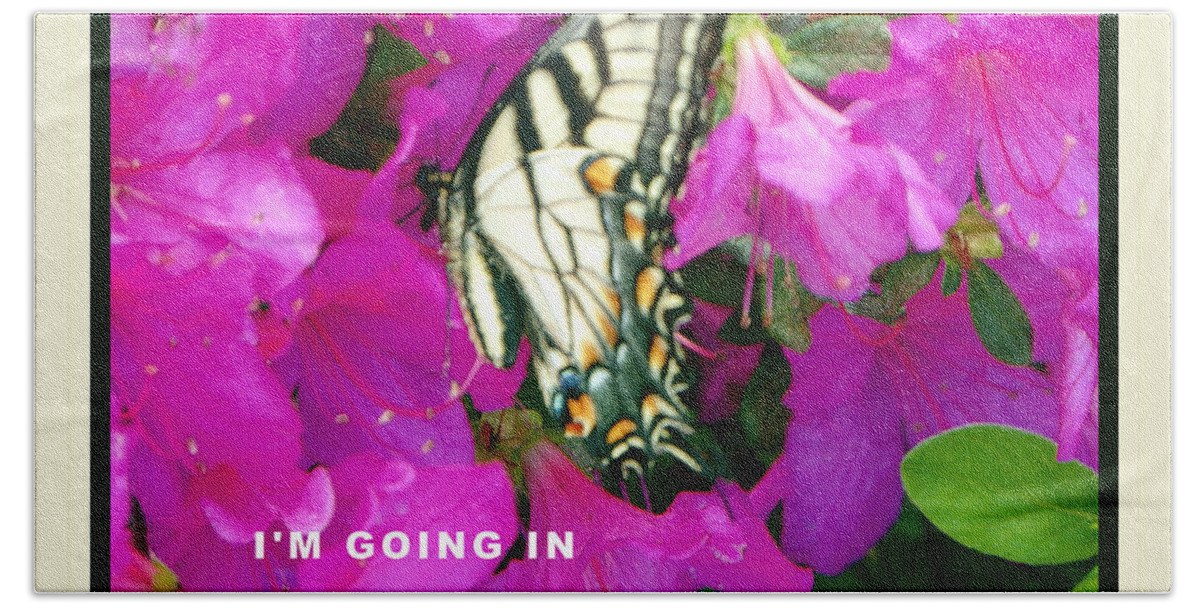  Bath Towel featuring the photograph Butterfly in Azaleas by Shirley Moravec