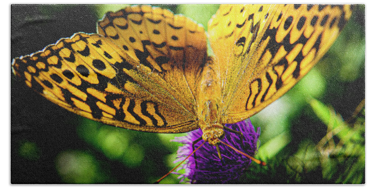 Butterfly Woods Gold Yellow Purple Hand Towel featuring the photograph Butterfly in the Woods by David Morehead