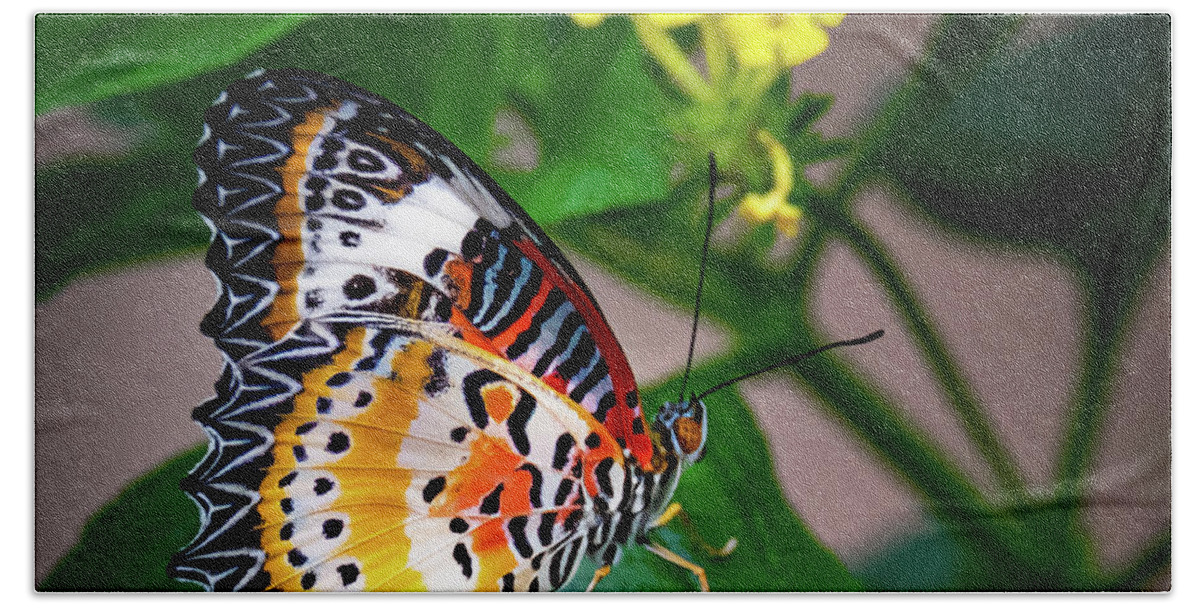 Butterly Bath Towel featuring the photograph Butterfly by John Roach