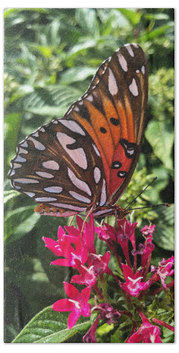 Butterfly Bath Towel featuring the photograph Butterfly no.1 by Nathan Little