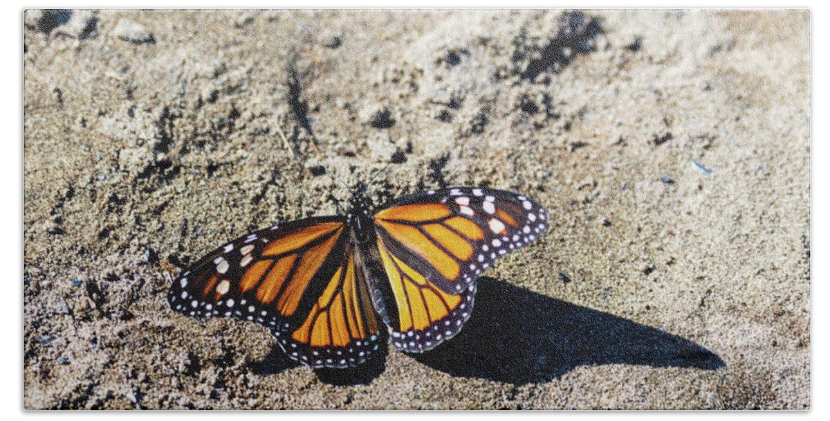 Butterfly Bath Towel featuring the photograph Butterfly on the Sand by Amelia Pearn