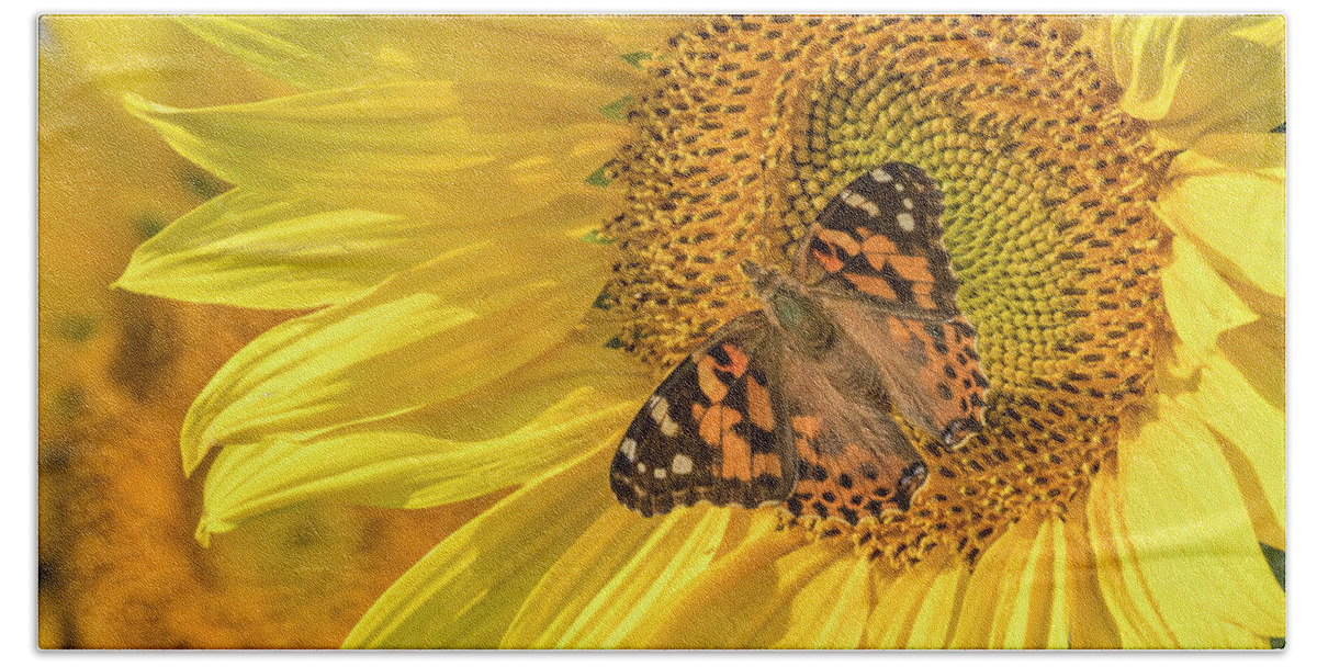 Painted Lady Butterfly Bath Towel featuring the photograph Butterfly Visit by Jurgen Lorenzen