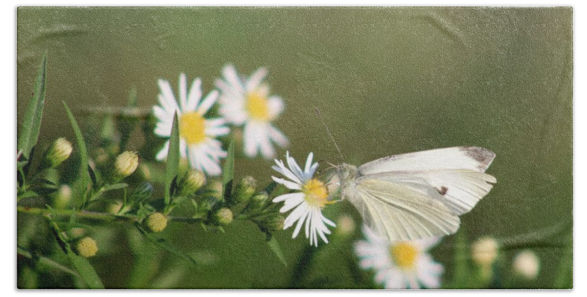Butterfly Bath Towel featuring the photograph Cabbage Butterfly on Wildflowers by Christopher Reed