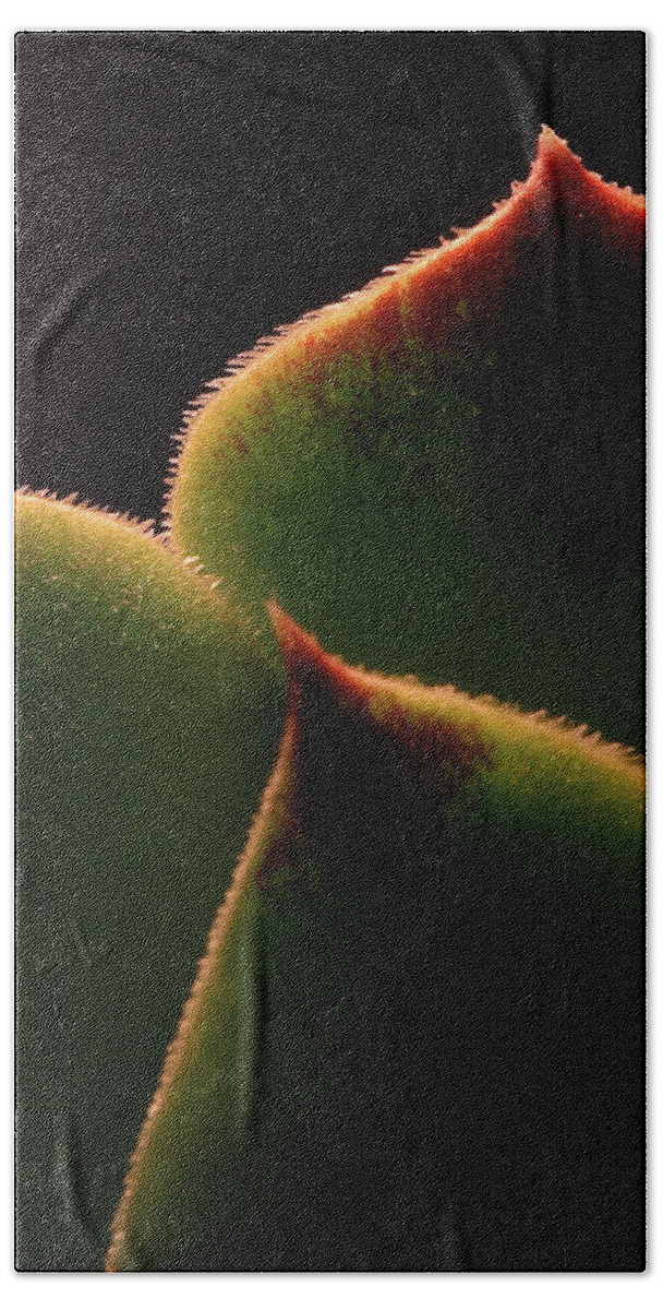 Macro Bath Towel featuring the photograph Cactus 9609 by Julie Powell