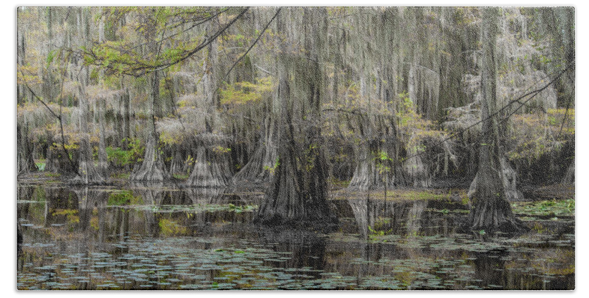 Landscape Bath Towel featuring the photograph Caddo Lake in Summer by Iris Greenwell