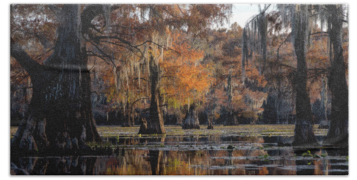  Hand Towel featuring the photograph Caddo Lake State Park - Texas by William Rainey