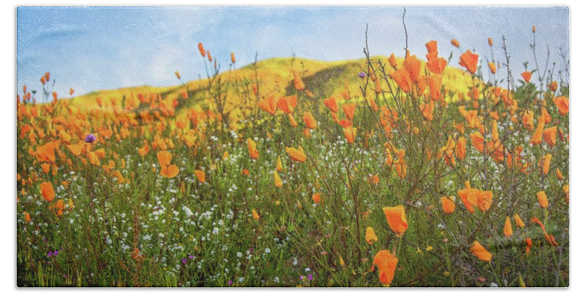 California Poppy Hand Towel featuring the photograph California Poppy Fields by Rebecca Herranen