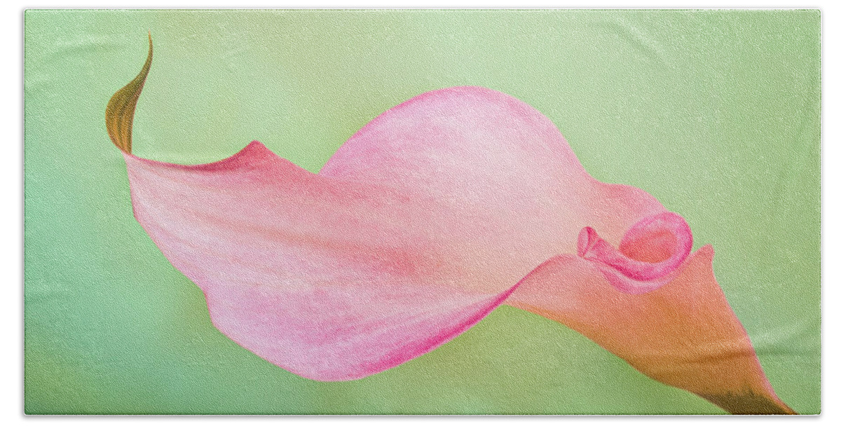 Calla Lily Hand Towel featuring the photograph Calla Curves by Elvira Peretsman
