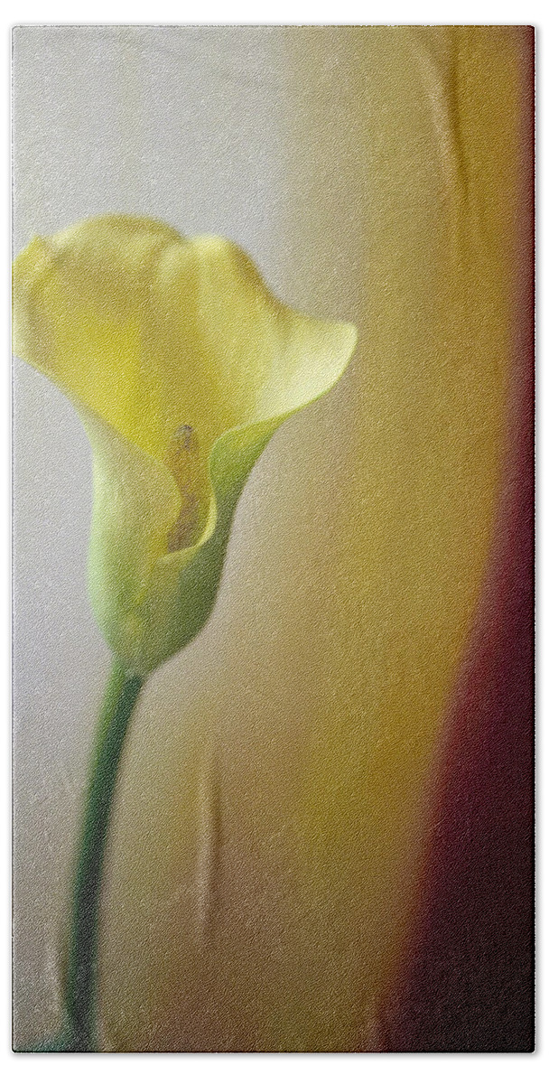 Calla Hand Towel featuring the photograph Calla For O'Keefe by Terri Harper