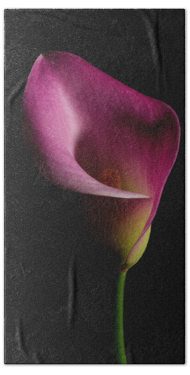 Calla Lilies Hand Towel featuring the photograph Calla Lilly 3 by Richard Rizzo