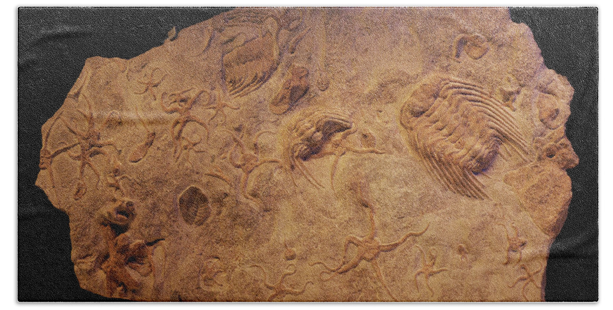 Fragment Of A Rock Bath Towel featuring the photograph Cambrian Art by Karine GADRE
