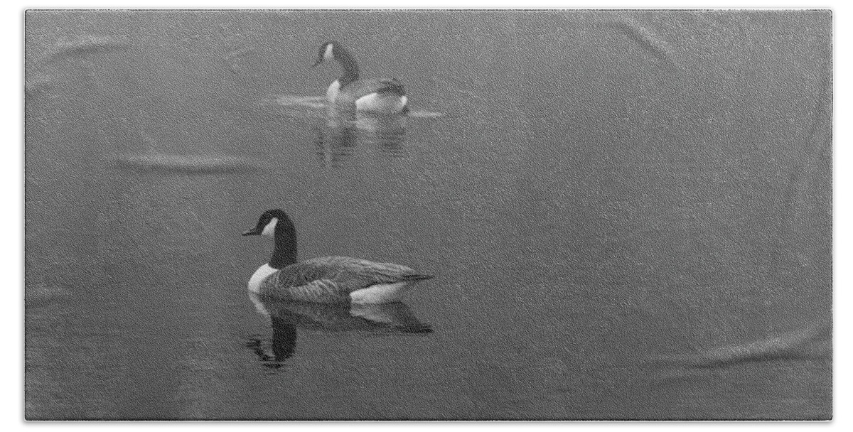 Canada Goose Hand Towel featuring the photograph Canada Geese In The Fog by Andrew Pacheco