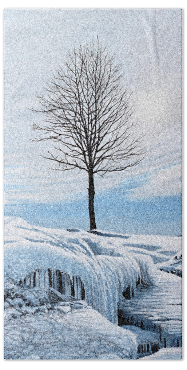 Frozen Bath Towel featuring the painting Canadian Perseverance by Kenneth M Kirsch