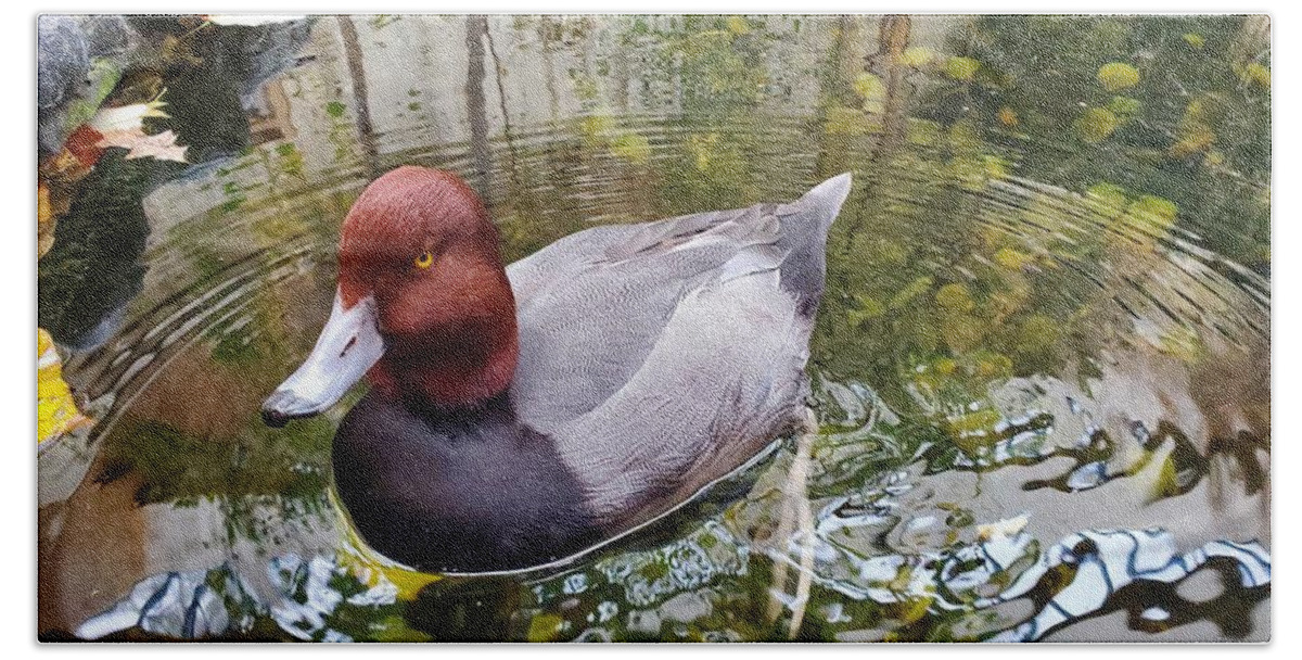 Duck Hand Towel featuring the photograph Canvasback Duck Up Close by Elena Pratt