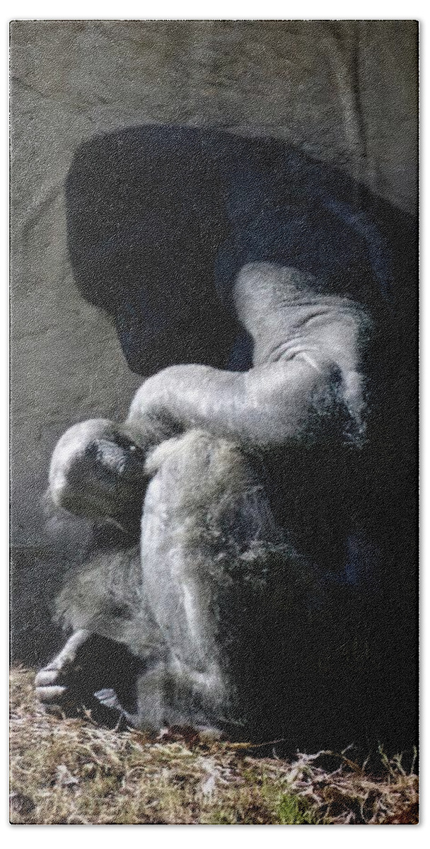 Gorilla Bath Towel featuring the photograph Captive by DArcy Evans