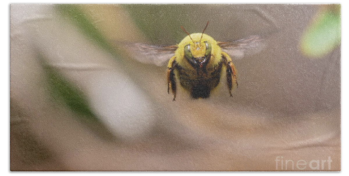 Carpenter Bee Hand Towel featuring the photograph Carpenter Bee Flying by Eva Lechner