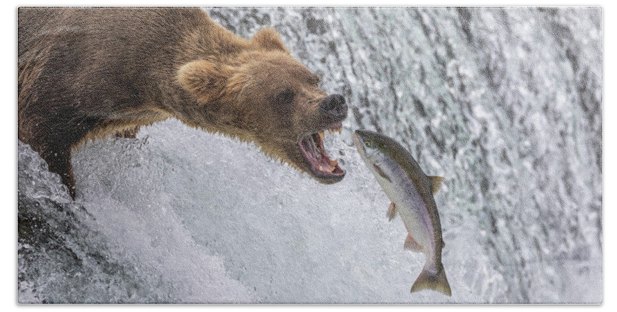 Grizzly Bath Towel featuring the photograph Catch of the Day by Randy Robbins