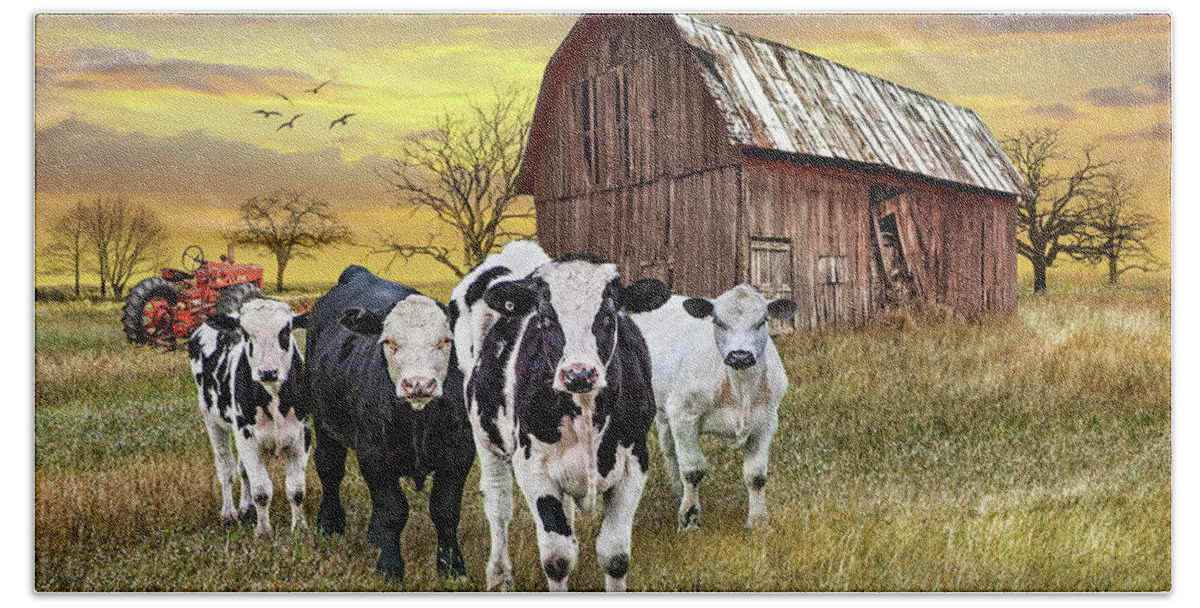 Barn Bath Towel featuring the photograph Cattle in the Midwest with Barn and Tractor at Sunset by Randall Nyhof
