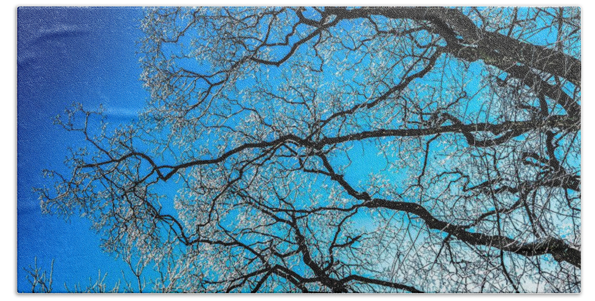Abstract Bath Towel featuring the photograph Chaotic System Of Ice Covered Tree Branches With Blue Sky by Andreas Berthold