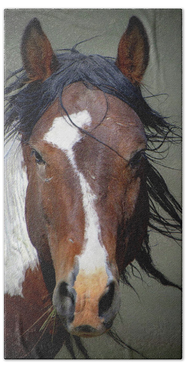Horse Hand Towel featuring the photograph Charger The Wild Onaqui by Dirk Johnson