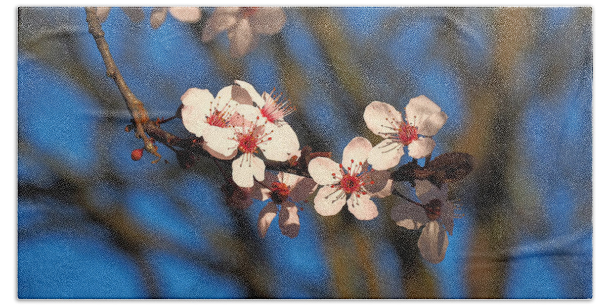 Botanical Bath Towel featuring the photograph Cherry Blossom Grouping by Richard Thomas