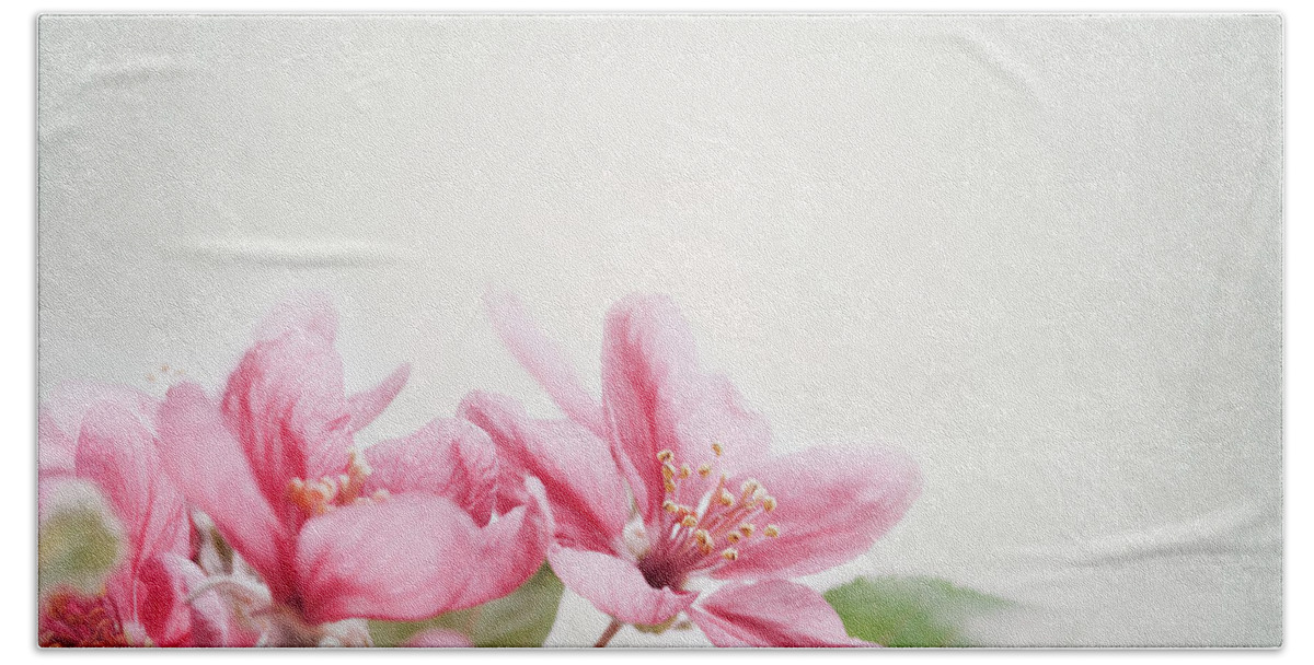 Cherry Hand Towel featuring the photograph Cherry blossom by Jelena Jovanovic
