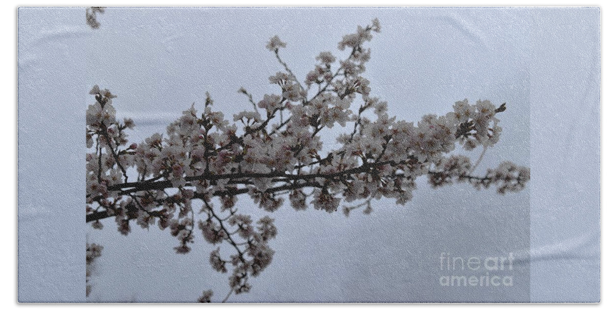 Cherry Blossoms Hand Towel featuring the photograph Cherry Blossoms Tree Branch by Stefania Caracciolo