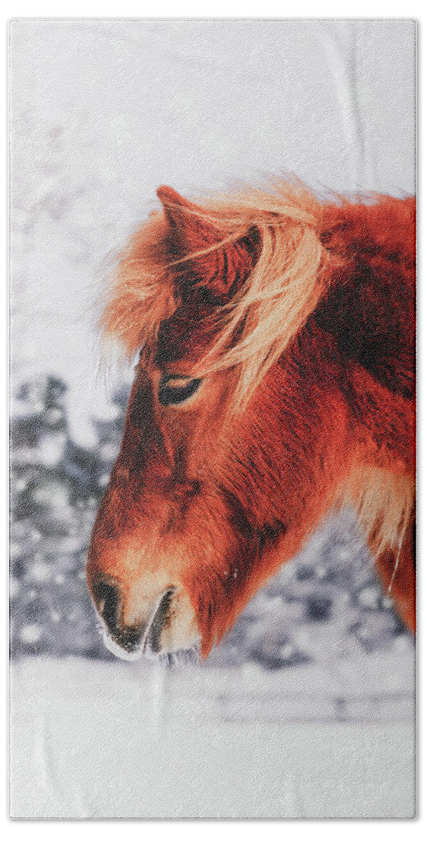 Horse Hand Towel featuring the photograph Chestnut Horse in The Snow - Matte Version by Nicklas Gustafsson