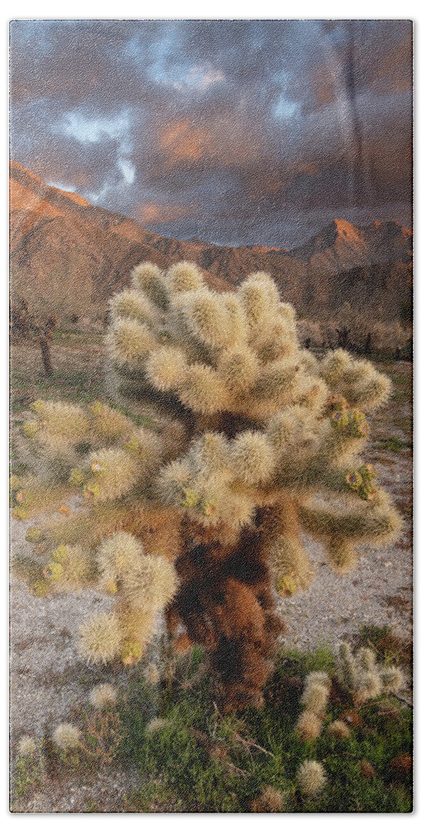 San Diego Bath Towel featuring the photograph Cholla Cactus and Clouds at Hellhole Canyon by William Dunigan