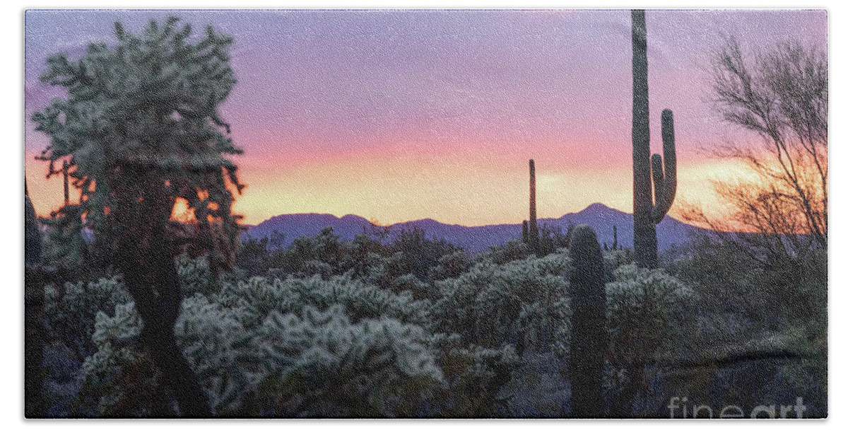 Desert Hand Towel featuring the photograph Cholla Sunset by Jeff Hubbard