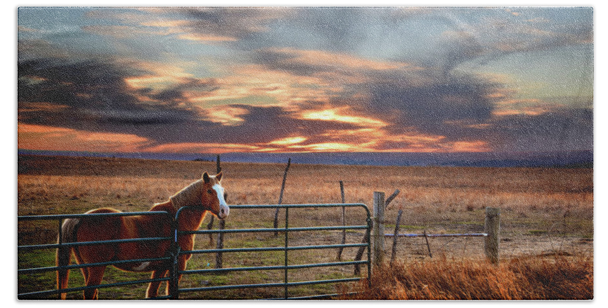 Horse Hand Towel featuring the photograph Christmas Sunset by Rod Seel
