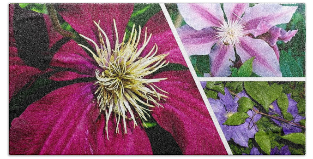 Clematis Bath Towel featuring the photograph Clematis Blossoms by Nancy Ayanna Wyatt