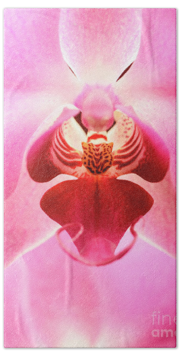 Orchid Hand Towel featuring the photograph Closeup of pink orchid flower by Jelena Jovanovic