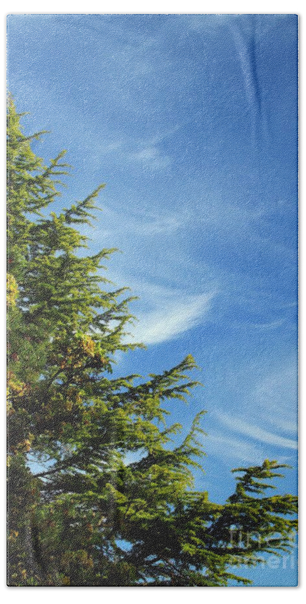 Clouds Bath Towel featuring the photograph Clouds Imitating Trees by Kimberly Furey