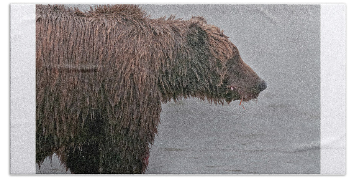 Wild Bath Towel featuring the photograph Coastal Brown Bear by Gary Langley
