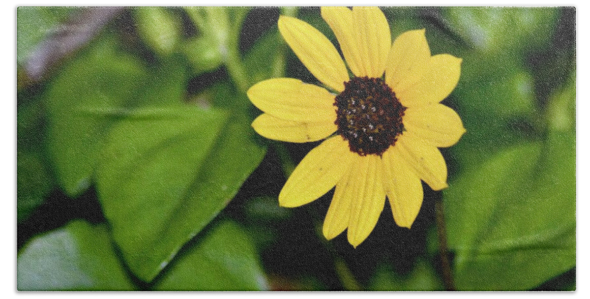 Coastal Sunflowers Hand Towel featuring the photograph Coastal Sunflowers by Warren Thompson