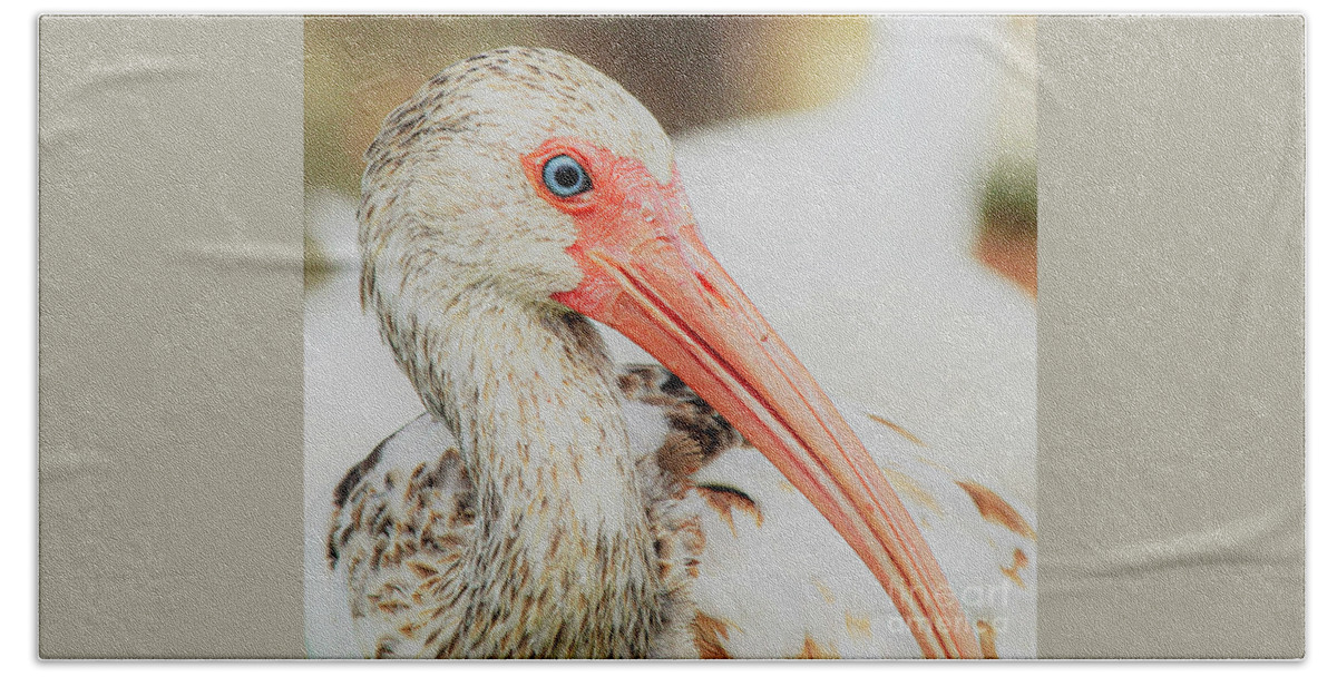American White Ibis Hand Towel featuring the photograph Color me softly by Joanne Carey