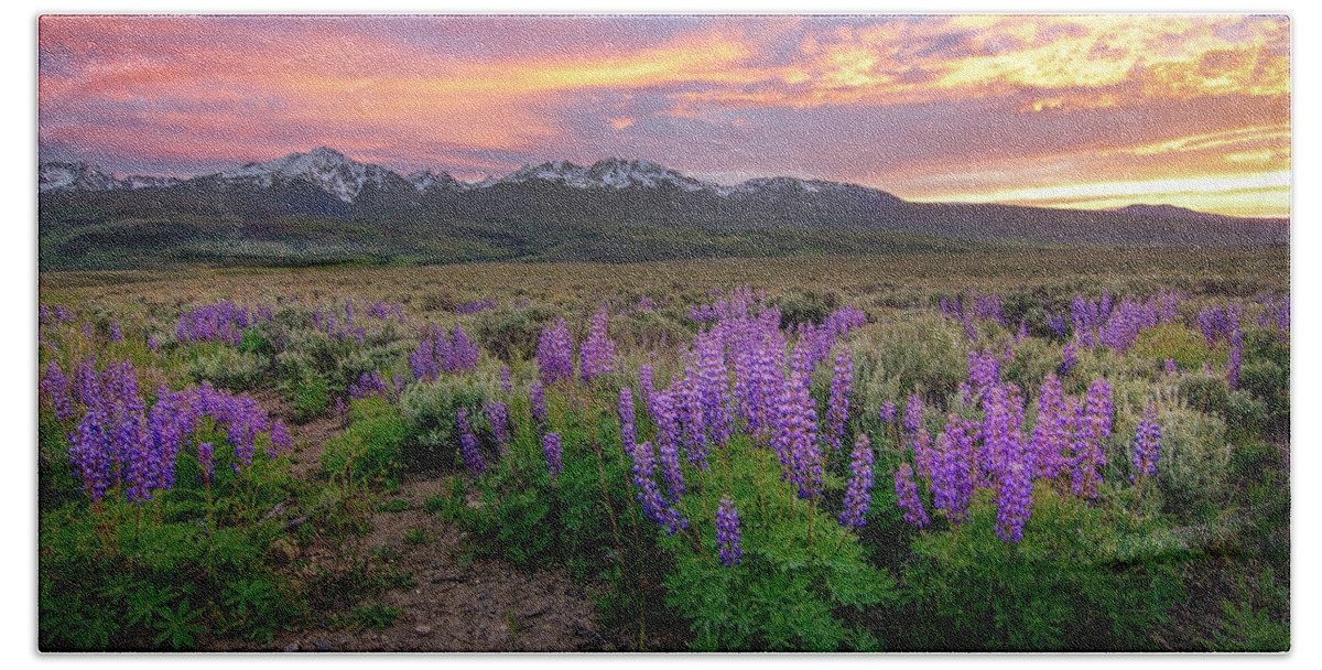 Sunset Bath Towel featuring the photograph Colorado Backcountry Sunset with Widlflowers by Aaron Spong